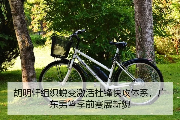 胡明轩组织蜕变激活杜锋快攻体系，广东男篮季前赛展新貌